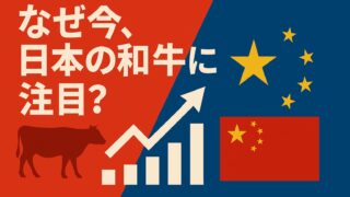 赤と青の背景に牛と国旗が描かれ、「中国の和牛争奪戦、始まる！」というテロップが表示された画像